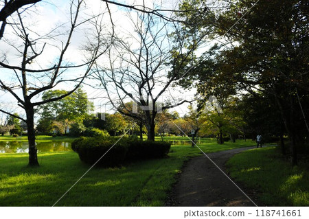 炎熱過後，一個安靜的秋季公園，有一個池塘 118741661