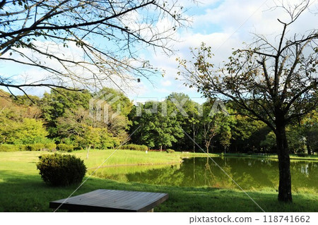 炎熱過後,一個安靜的秋季公園,有一個池塘 炎熱過後,一個安靜的秋季公園,有一個池塘 118741662