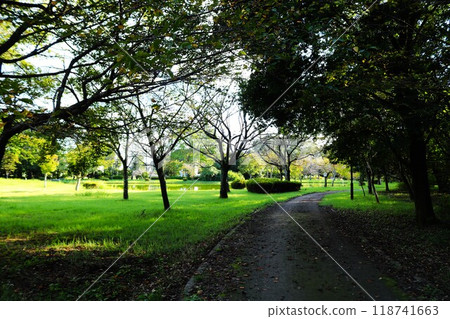 Quiet autumn after the heat of summer: A park with a pond 118741663