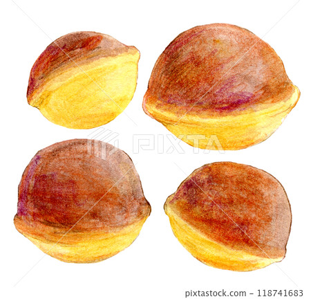 Watercolor illustration: Hand-drawn bell castella 118741683