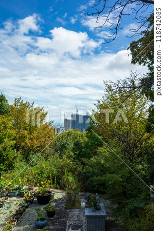 Takarazuka distant view Takarazuka distant view 118742085