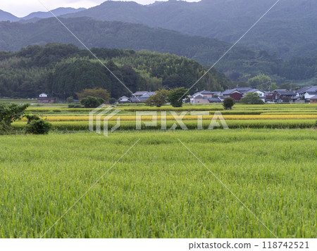 晨露濕潤的明日香村田園風光 118742521