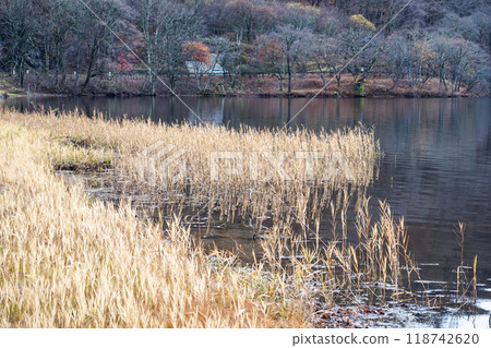 Foggy Lake Haruna (Harunakomachi, Takasaki City, Gunma Prefecture) Foggy Lake Haruna (Harunakomachi, Takasaki City, Gunma Prefecture) 118742620