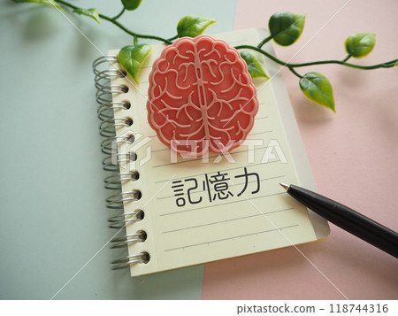 大腦模型圖像記憶字母 118744316