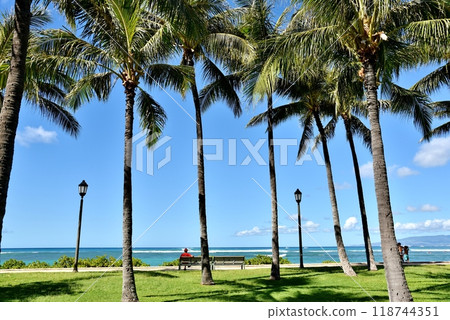 Holidays in Hawaii 118744351