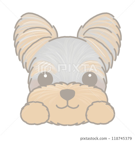 Yorkshire terrier illustrations 118745379
