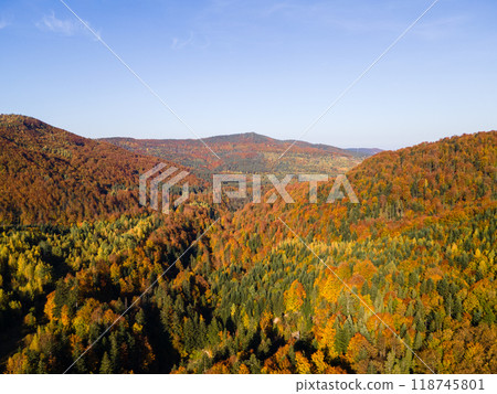 Vibrant Autumn Forest Landscape Vibrant Autumn Forest Landscape 118745801