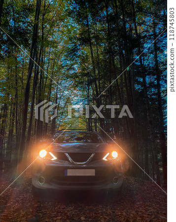 Car in Autumn Forest Path Car in Autumn Forest Path 118745803