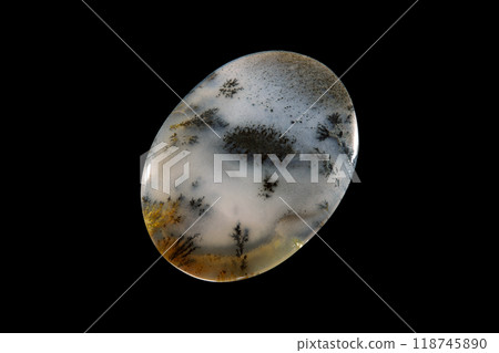 Dendritic Agate A stone that harbors landscapes 118745890