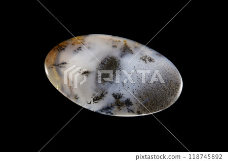 Dendritic Agate A stone that harbors landscapes 118745892