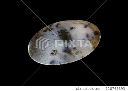 Dendritic Agate A stone that harbors landscapes 118745893