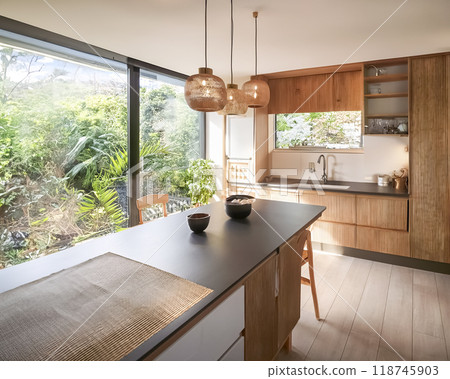 新建房屋形象材：現代廚房 118745903