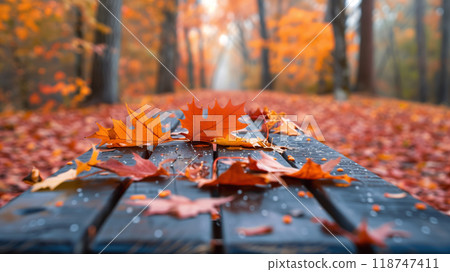 Autumn leaves on a wooden bench in a forest. The vibrant colors of fall foliage create a serene and picturesque scene in nature. 118747411
