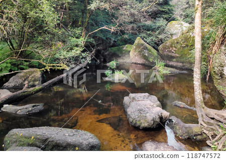 The Fairies' pond in the Huelgoat forest The Fairies' pond in the Huelgoat forest 118747572