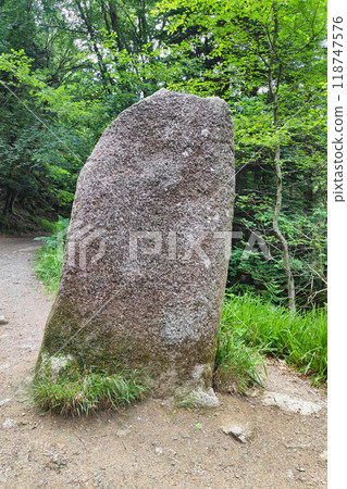 The Menhir of the wild boar pond in the forest of Huelgoat 118747576