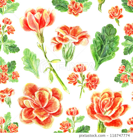Seamless pattern of kalanchoe flowers and leaves of succulents bouquet. Watercolor hand painted illustration is drawn in red, yellow, orange and green colors on white background. Used in packaging, on 118747774