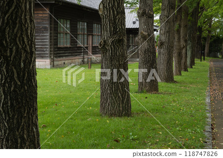 View of the tree-lined avenue and wooden buildings at Mito City History Museum View of the tree-lined avenue and wooden buildings at Mito City History Museum 118747826