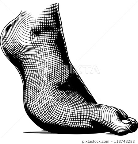 Copperplate illustration of the human foot 118748288