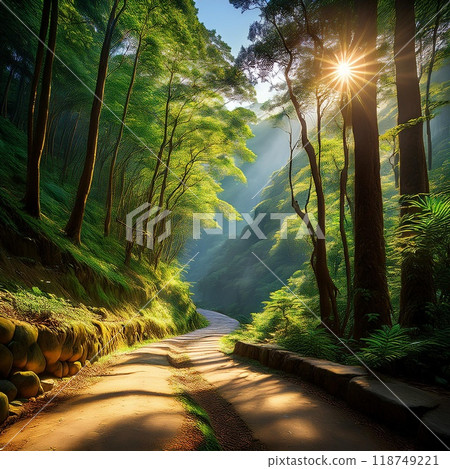 Sunlight leaves and mountain path 118749221