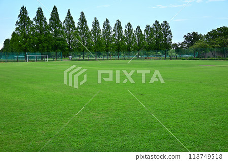 A midsummer evening at the grounds 118749518