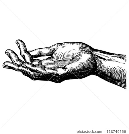 人類手掌的銅版雕刻的向量圖。 人類手掌的銅版雕刻的向量圖。 118749566