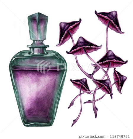 Vertical transparent green bottle with liquid and poisonous purple toadstools. Watercolor illustration template for esoteric, witchcraft, Halloween: invitations, menus, advertising, cards, postcards Vertical transparent green bottle with liquid and poisonous purple toadstools. Watercolor illustration template for esoteric, witchcraft, Halloween: invitations, menus, advertising, cards, postcards 118749731