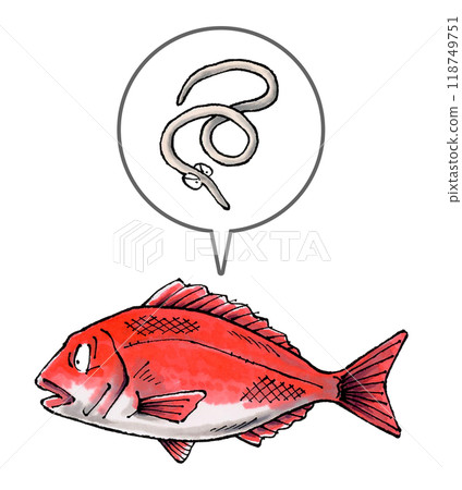 Anisakis parasite in sea bream 118749751