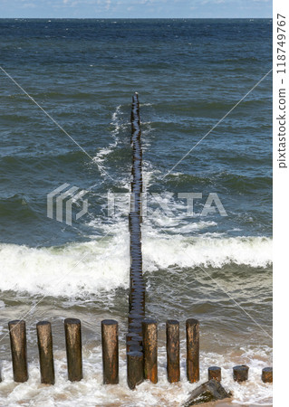 Shore water and breakwater structure made of wooden pillars 118749767
