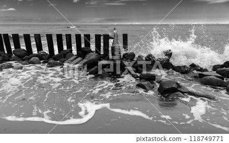 Shore water and old wooden breakwater structure, Baltic Sea coast, 118749771