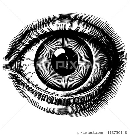 Copperplate engraving vector illustration of a human eye. Copperplate engraving vector illustration of a human eye. 118750148