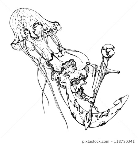 Jellyfish medusa with anchor, Marine life, sea ocean underwater creatures animal, Ink and pen sketch hand drawn. Composition illustration, stylized isolated on white. Shop, aquarium, cosmetics, resort Jellyfish medusa with anchor, Marine life, sea ocean underwater creatures animal, Ink and pen sketch hand drawn. Composition illustration, stylized isolated on white. Shop, aquarium, cosmetics, resort 118750341