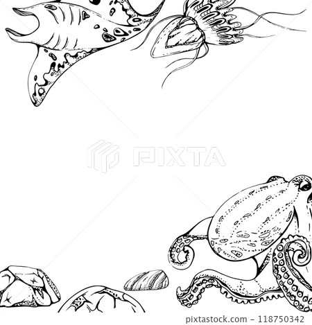 Manta ray jellyfish octopus Marine life, sea ocean underwater creatures, Ink and pen sketch hand drawn. Border frame illustration stylized, isolated on white. For zoo shop, aquarium, cosmetics, resort 118750342