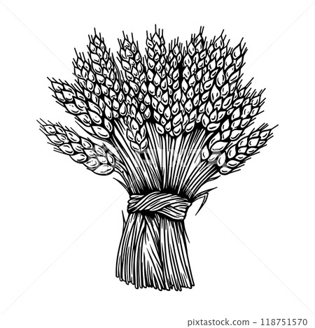 Illustration of sheaf of wheat in engraving style. Design element for emblem, sign, poster, package design. Vector illustration 118751570