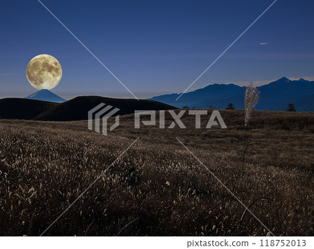 潘帕斯草、滿月和富士 118752013
