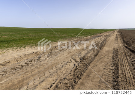 car tracks on a sandy road in a field, close-up 118752445