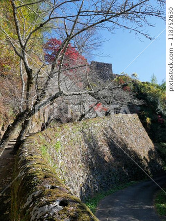 岡城遺址入口處的石牆（大分縣） 118752630