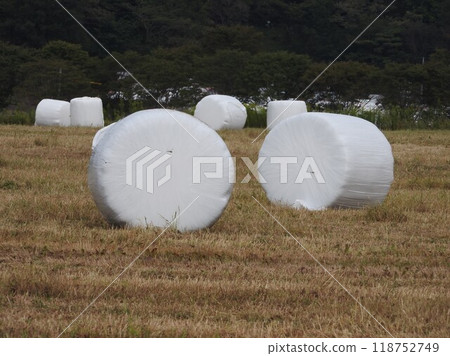牧場上放置的牧草卷 牧場上放置的牧草卷 118752749
