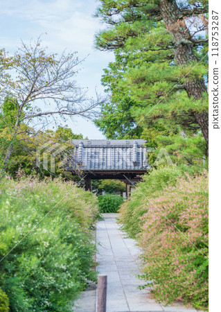 Enko Zenji Temple, bush clover in full bloom (Inazawa City, Aichi Prefecture) Enko Zenji Temple, bush clover in full bloom (Inazawa City, Aichi Prefecture) 118753287
