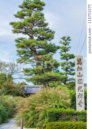 Enko Zenji Temple, bush clover in full bloom (Inazawa City, Aichi Prefecture) Enko Zenji Temple, bush clover in full bloom (Inazawa City, Aichi Prefecture) 118753375