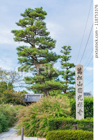 圓光禪寺、三葉草盛開(愛知縣稻澤市) 圓光禪寺、三葉草盛開(愛知縣稻澤市) 118753376