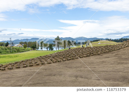 Turf laying work Turf laying work 118753379