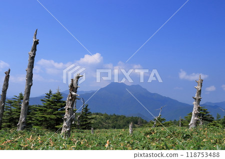 夏季,從影森山道眺望石鎚山(愛媛郡四國) 夏季,從影森山道眺望石鎚山(愛媛郡四國) 118753488