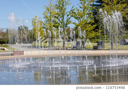 Fountain in Joyama Park, Nagano City 118753498