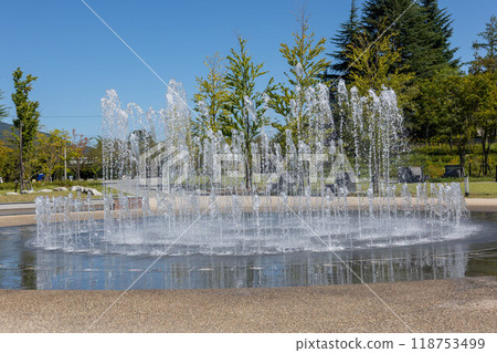 Fountain in Joyama Park, Nagano City 118753499
