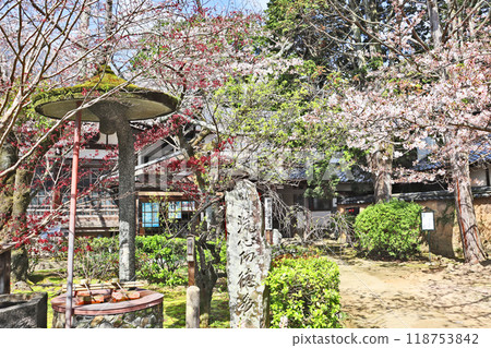 Famous water and cherry blossoms in the precincts of Kozanji, a sightseeing spot in Shimonoseki Famous water and cherry blossoms in the precincts of Kozanji, a sightseeing spot in Shimonoseki 118753842