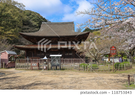 下關高山寺國寶佛寺的觀光景點和櫻花 118753843