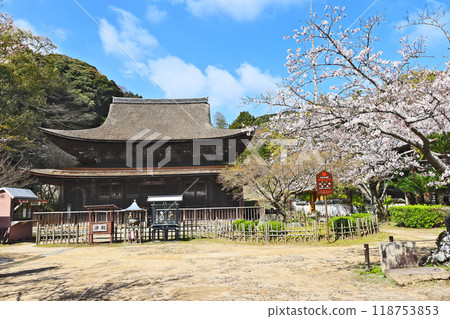 下關高山寺國寶佛寺的觀光景點和櫻花 118753853
