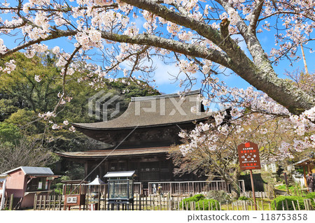 下關高山寺國寶佛寺的觀光景點和櫻花 118753858