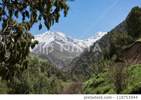 Snow-capped mountains surrounded by green plants and hills 118753944