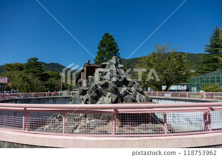 長野市城山動物園 猴山 長野城山公園 長野市城山動物園 猴山 長野城山公園 118753962